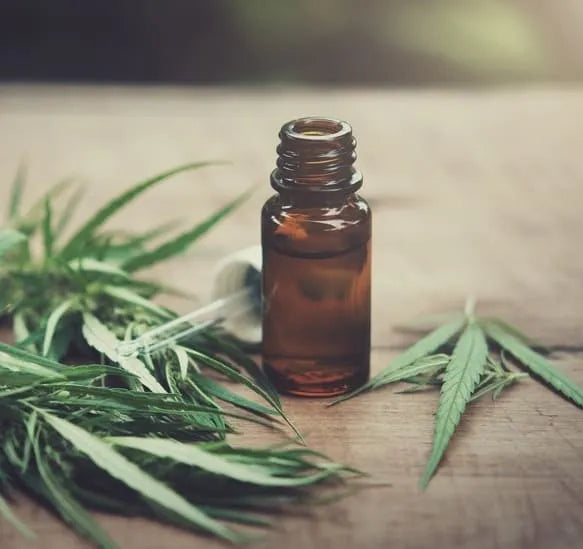 Understanding the Recommended Daily Intake of CBD (10mg) in the UK